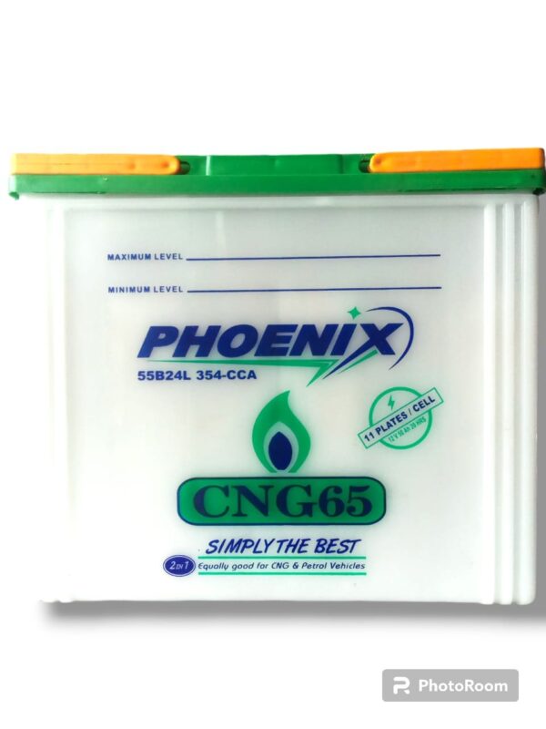 Phoenix CNG 65 Battery For cars
